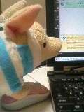 060129_2248~01.JPG