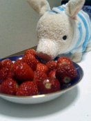 060309_2300~001.jpg